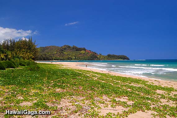Hanalei Bay
