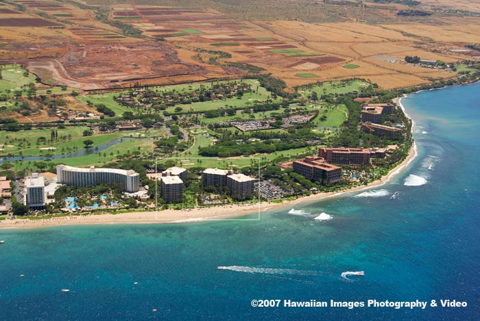 Kaanapali Alii