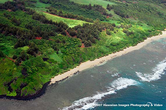 Larsen's Beach