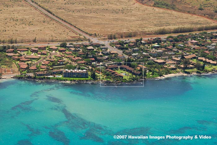 Polynesian Shores