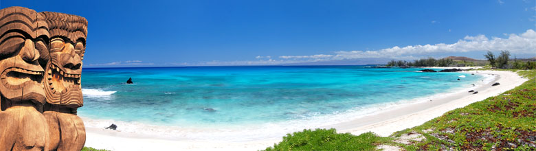HawaiiGaga