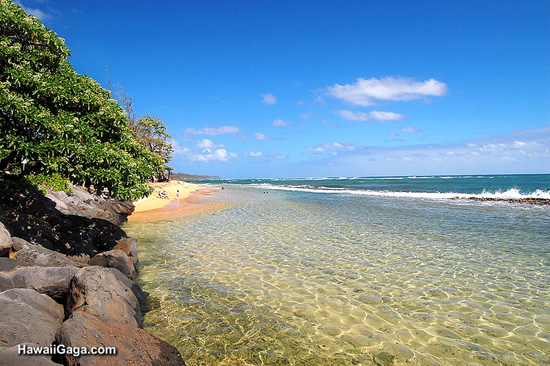 Hawaii Discount Car Rental Kauai Hawaii Discount Car Rental Kauai