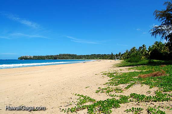 Hanalei Bay