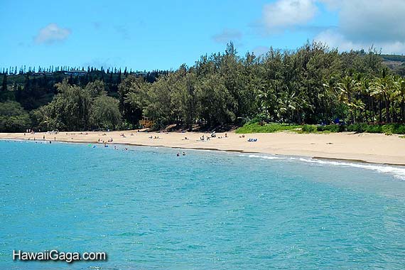 DT Flemming Beach