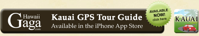 iPhone app store