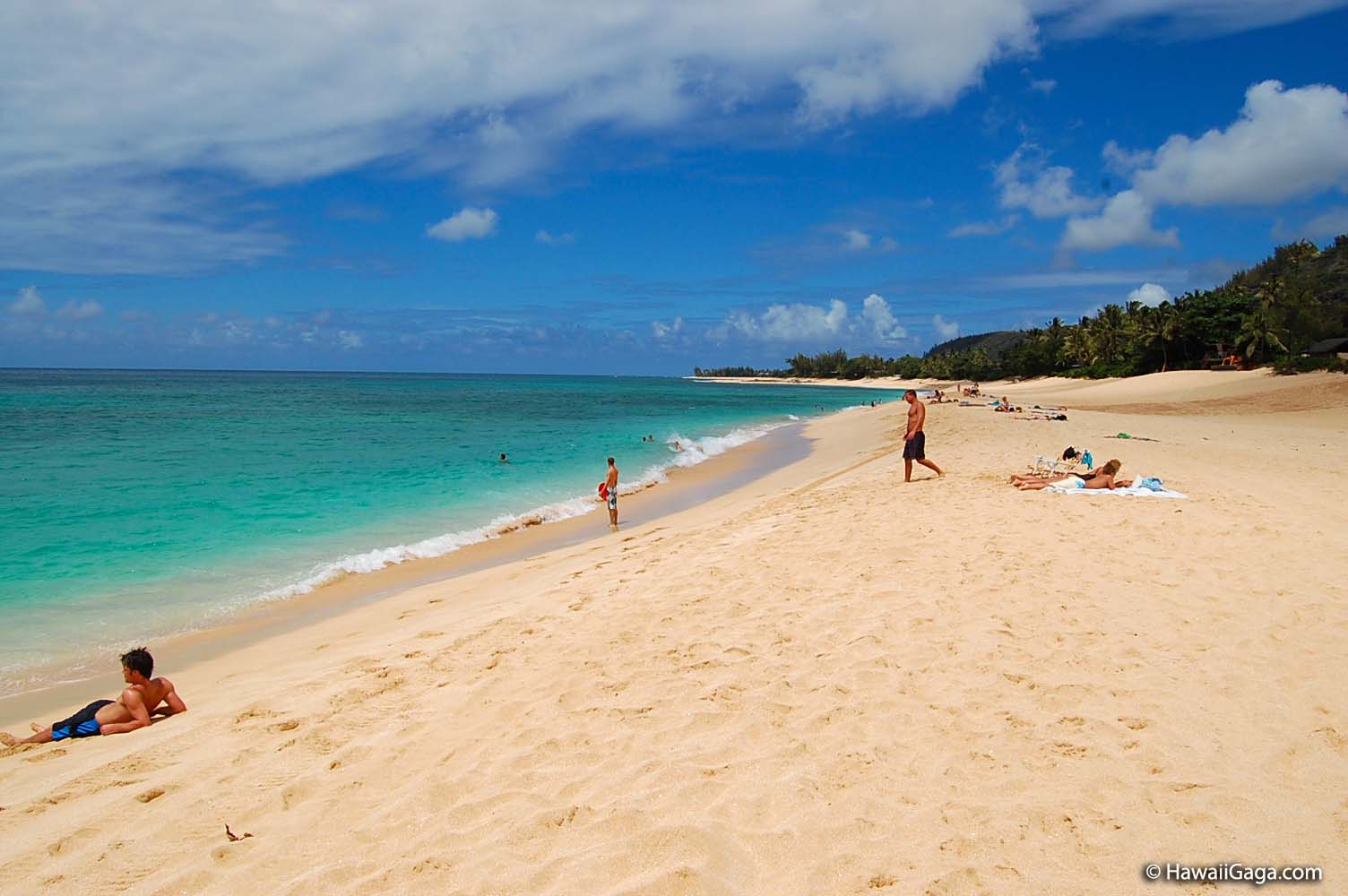 Ehukai Beach Park