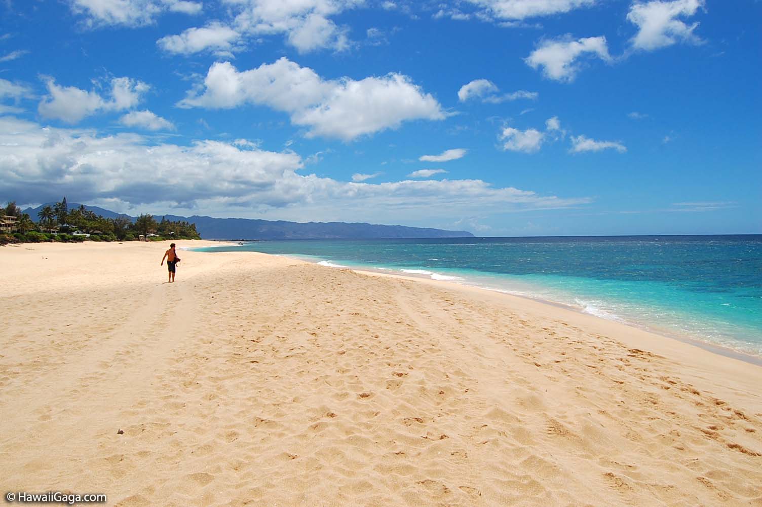 Ehukai Beach Park