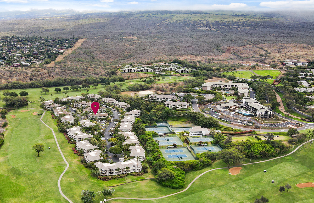 Grand Champions, Maui