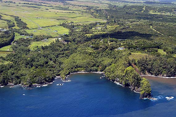 Hawaiian Tropical Botanical Garden