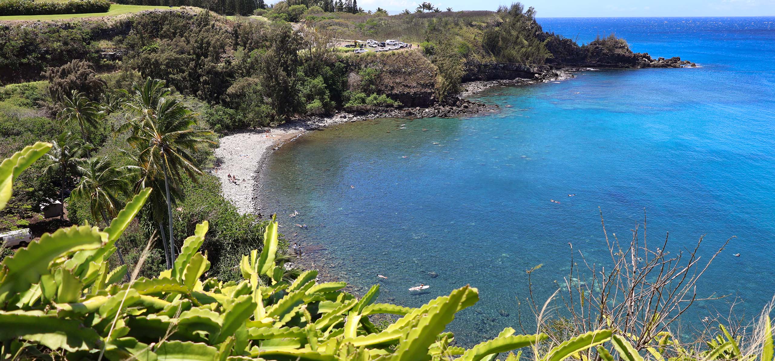 Honolua Bay