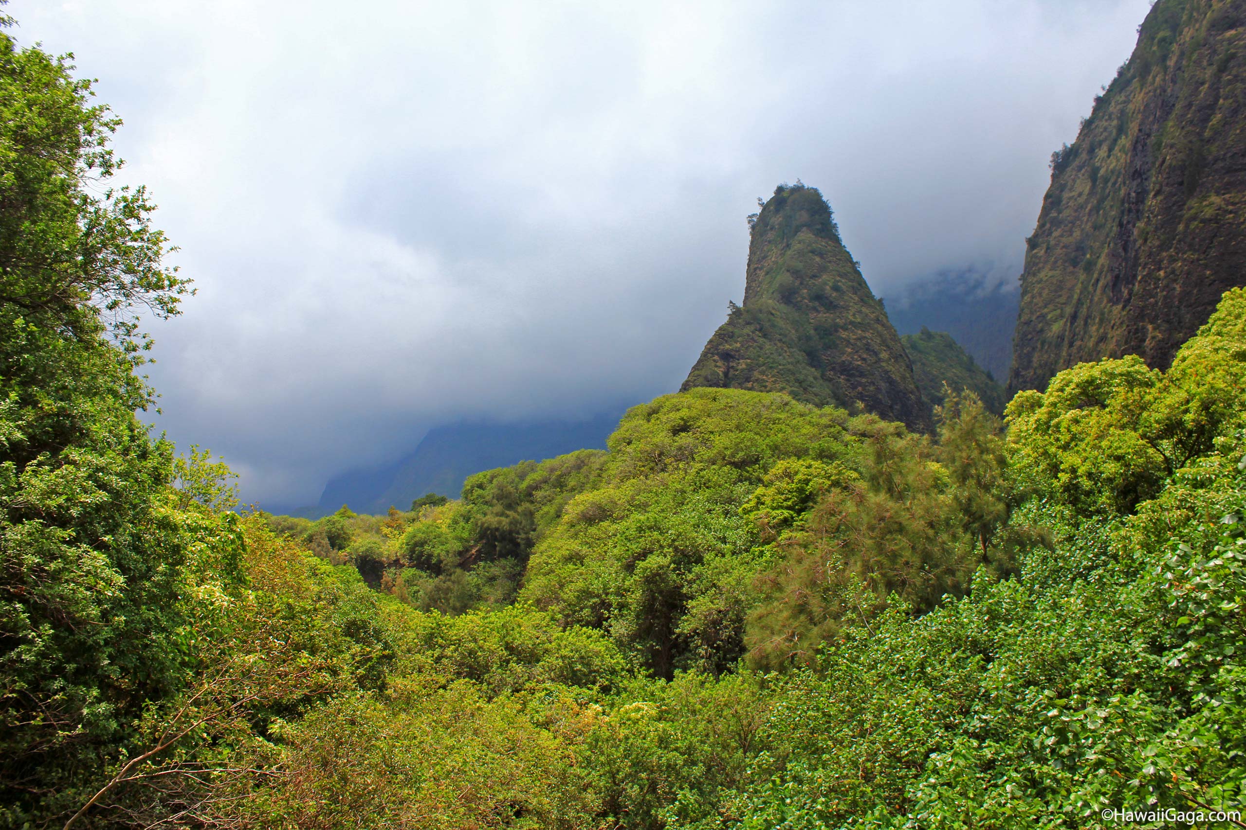 Iao Valley State Park