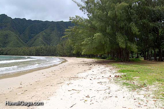 Kahana Beach Park