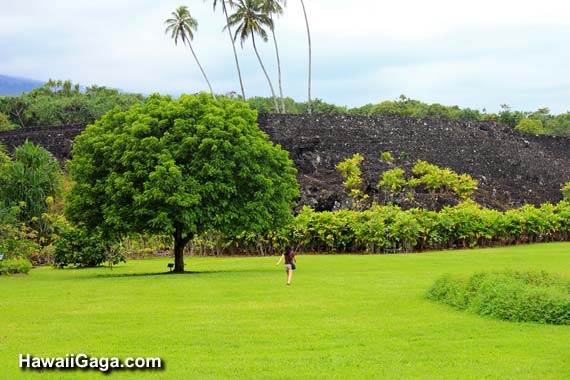 Kahanu National Tropical Botanical Garden