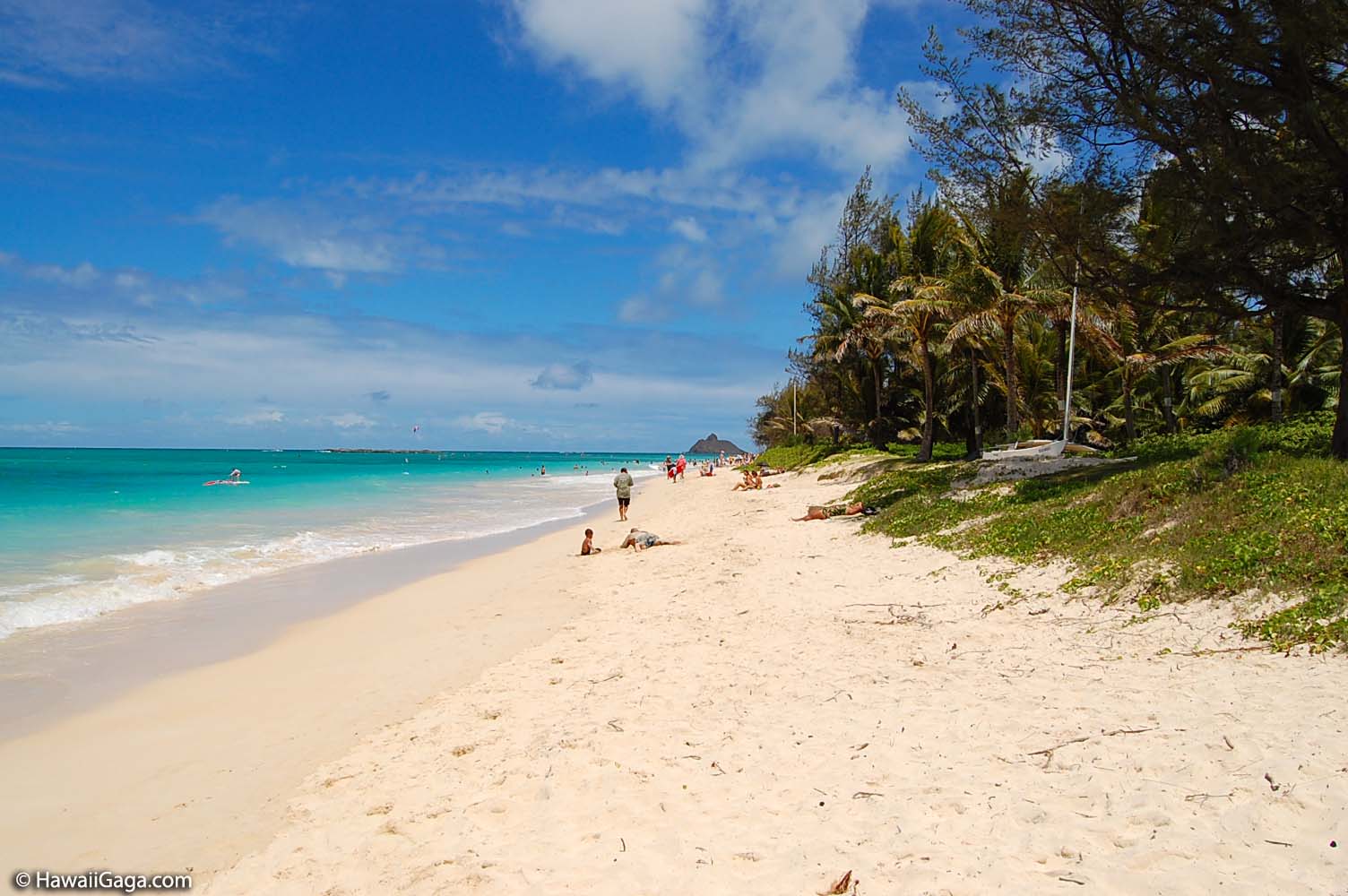 Kailua Beach Park