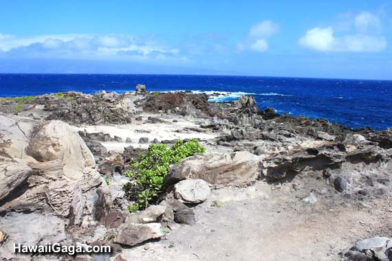 Kapalua Coastal Trail