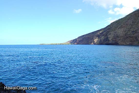 Kealakekua Bay