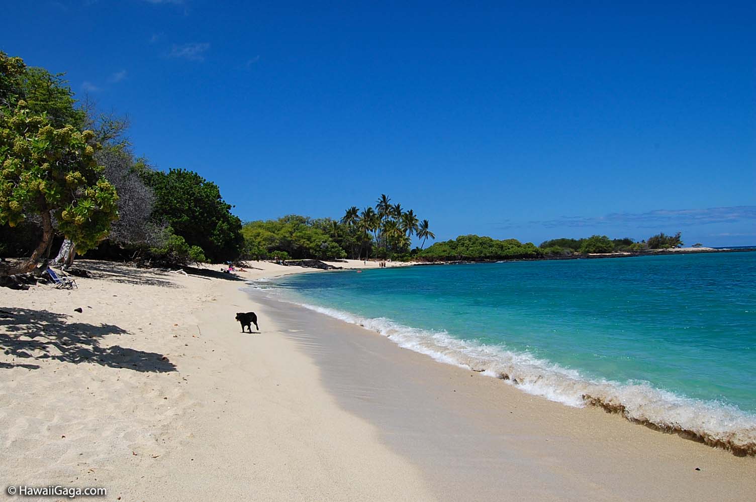 Kekaha Kai Beach Park