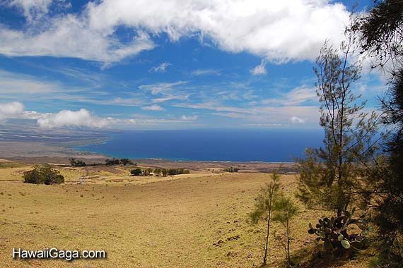 Kohala Ranch