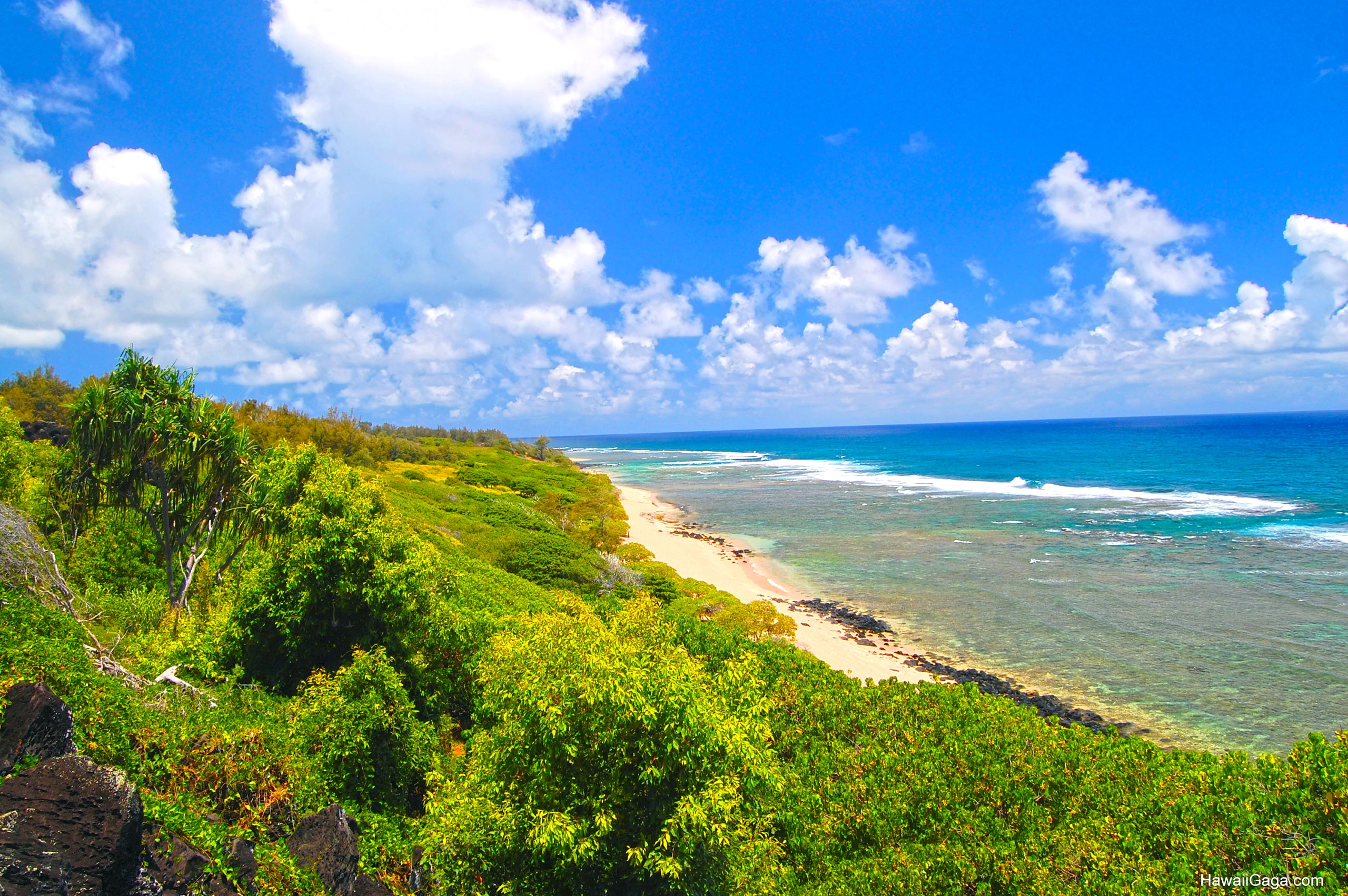 Larsen's Beach