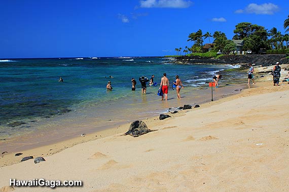 Lawai Beach Kauai Lawai Beach