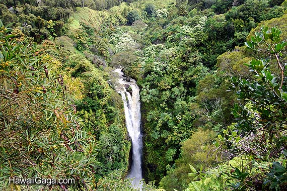 Lower Puohokamoa Falls