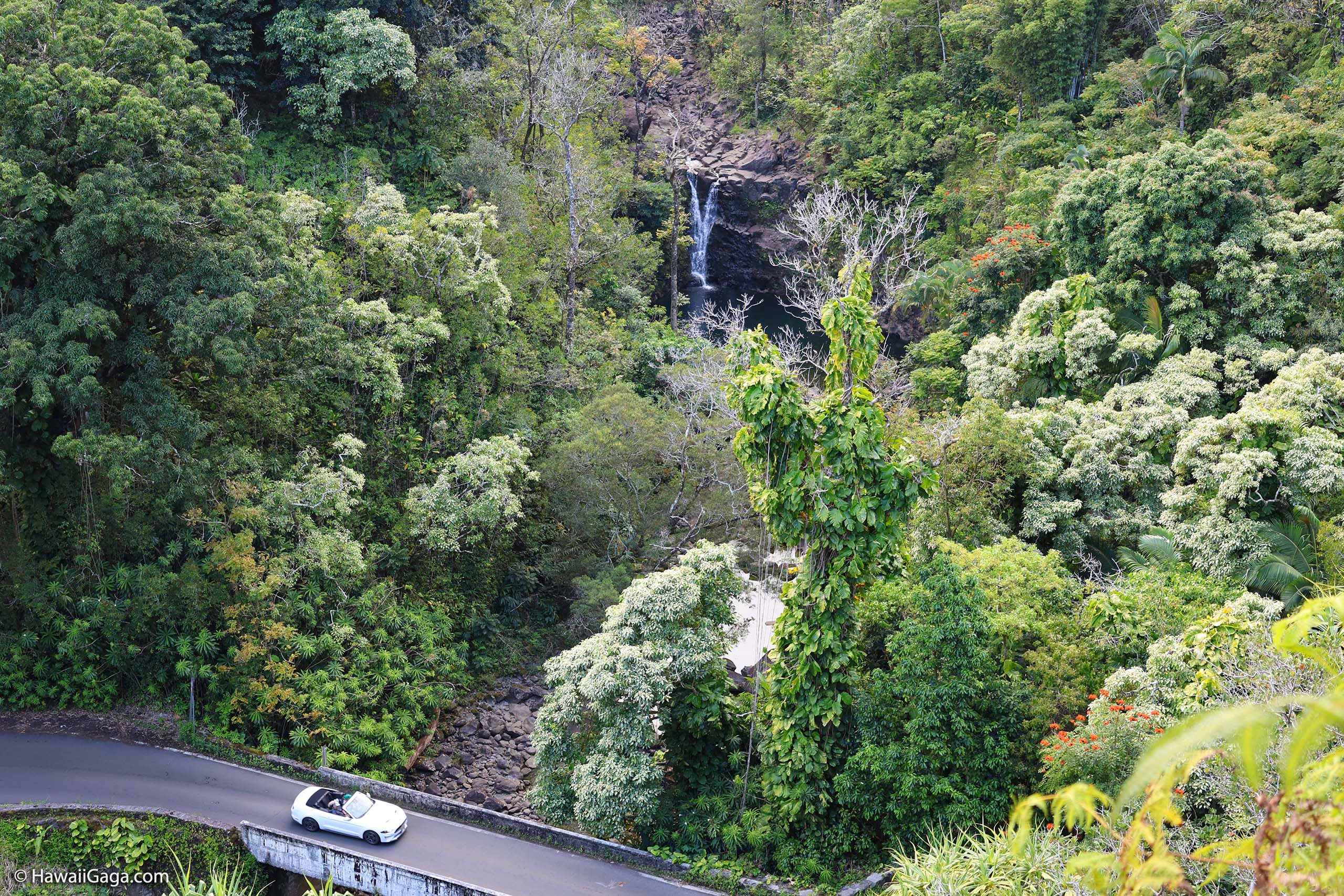 Lower Puohokamoa falls