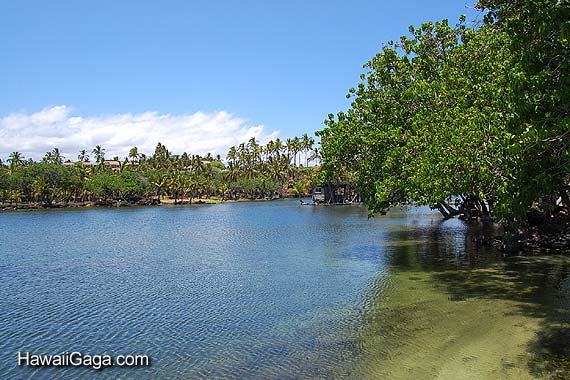 Makaiwa Bay Fish Pond