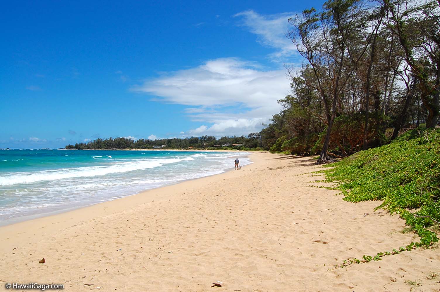 Malaekahana State Park