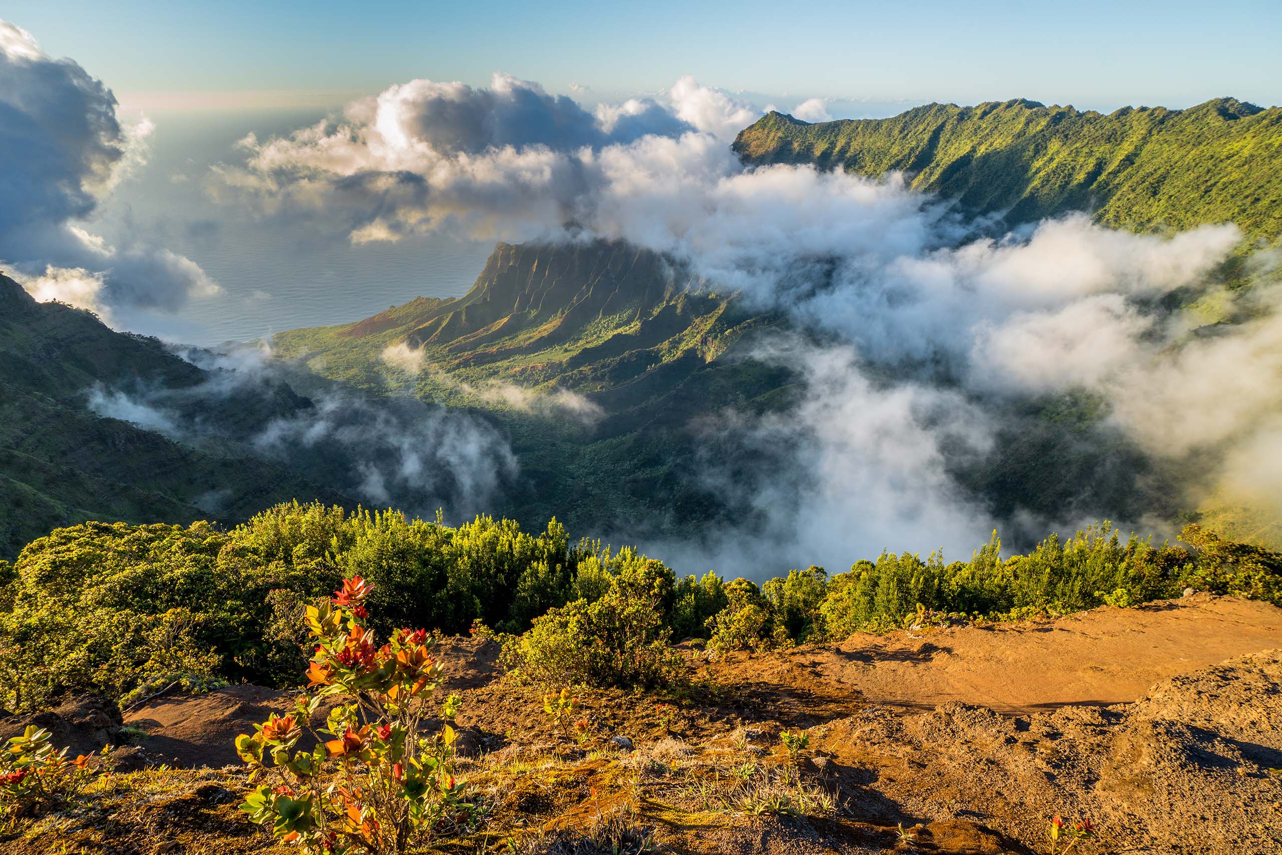 Pihea Trail