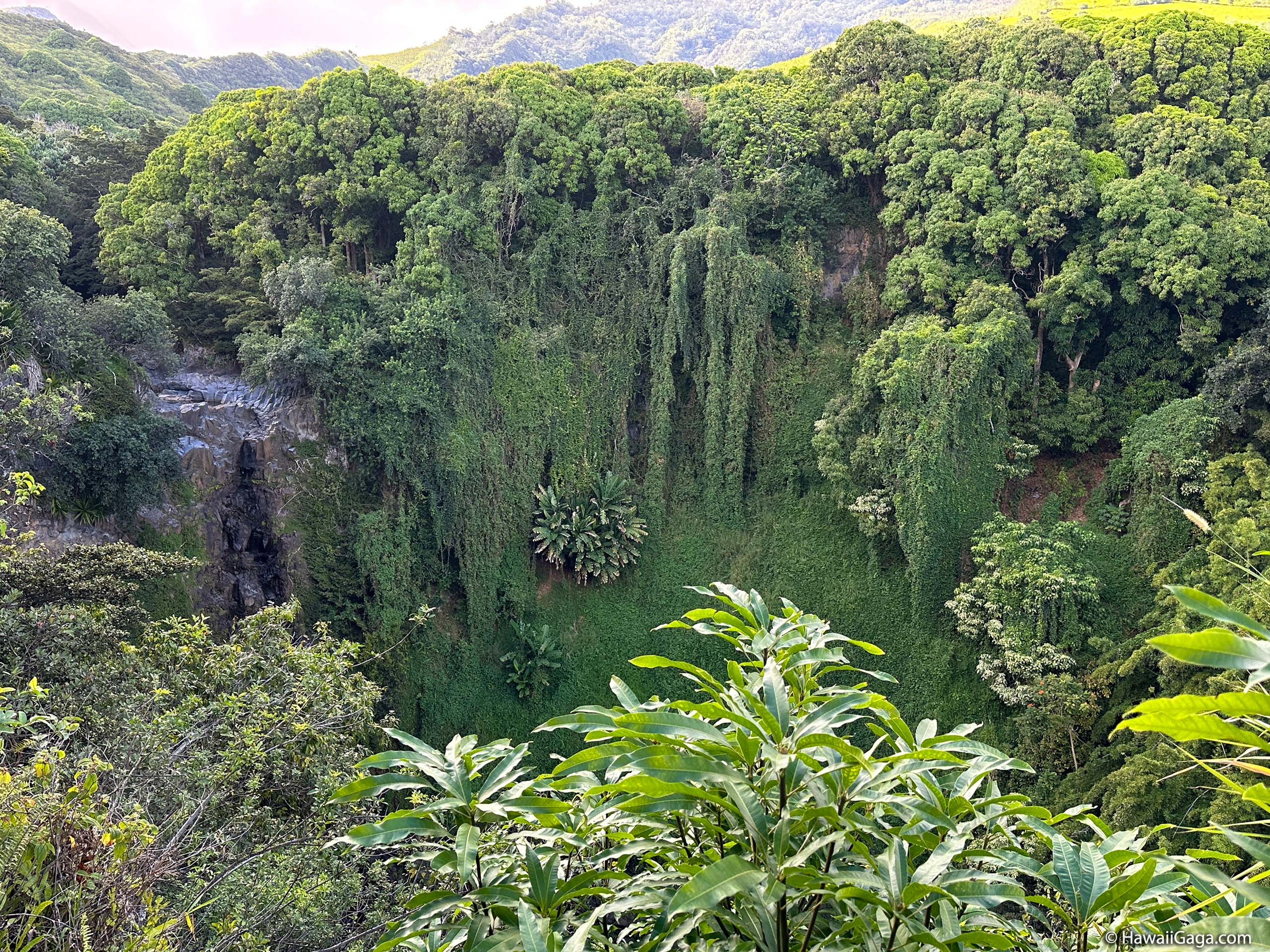 Pipiwai Trail