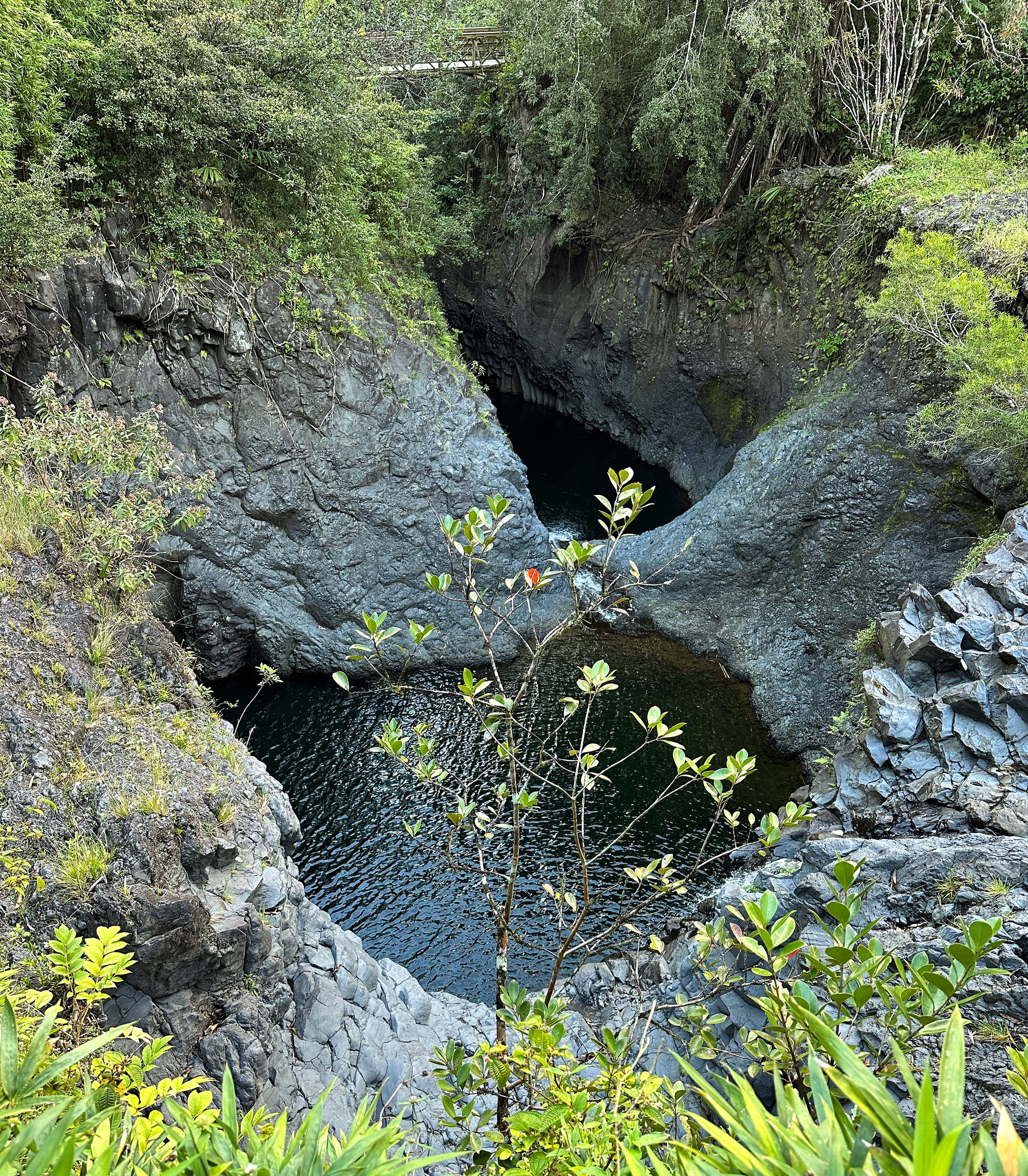 Pipiwai Trail