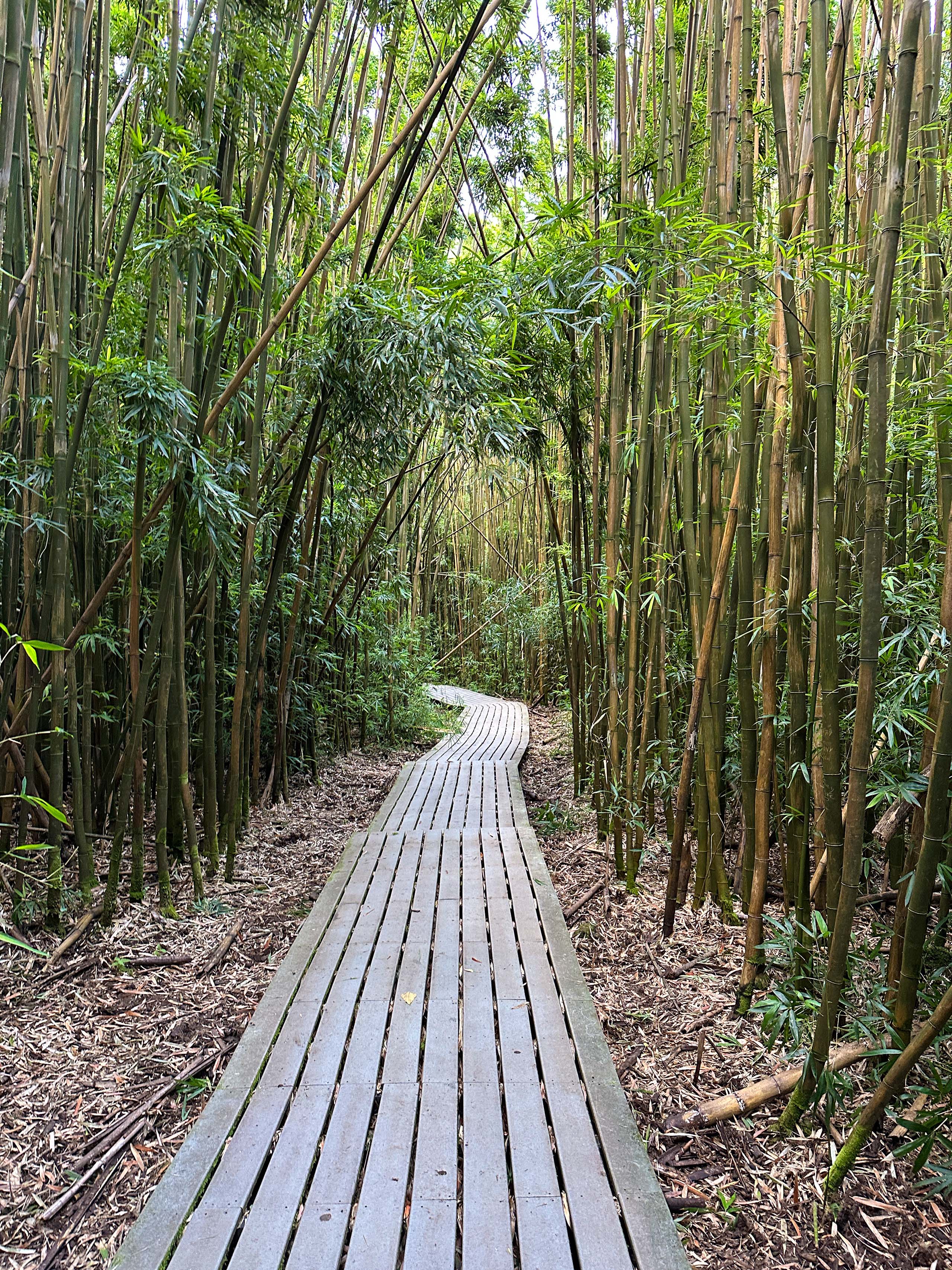 Pipiwai Trail