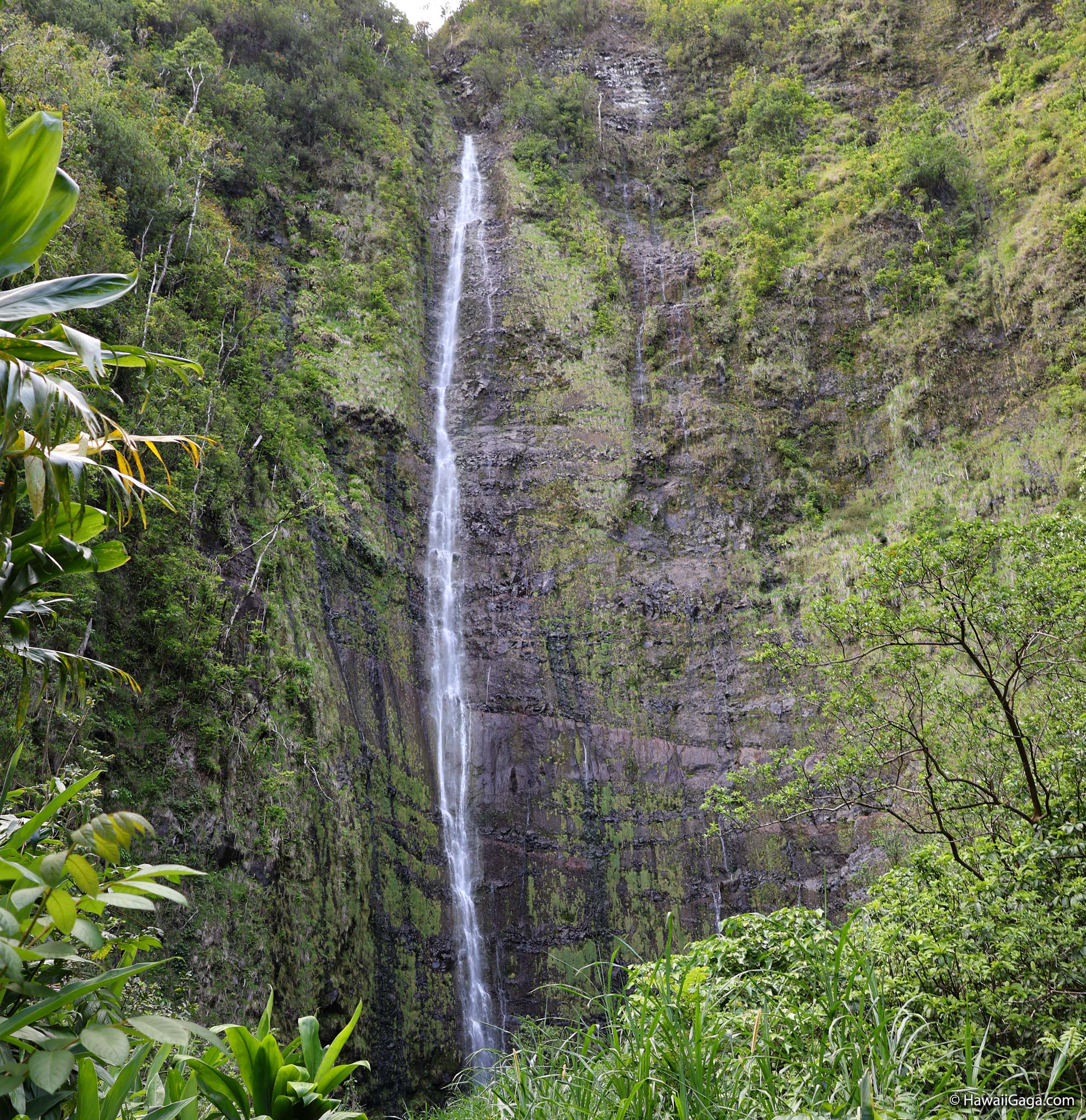 Pipiwai Trail