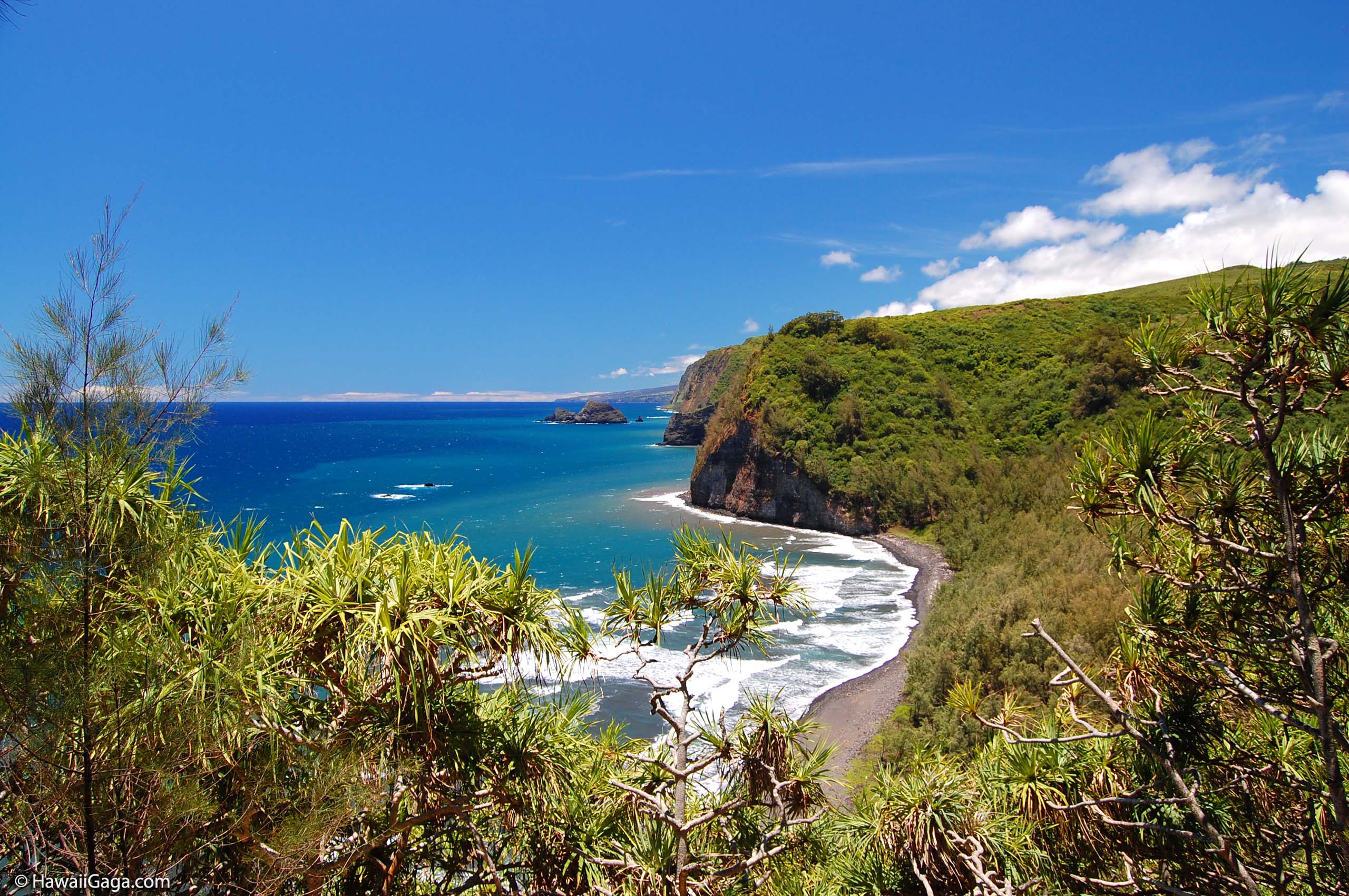 Pololu Beach