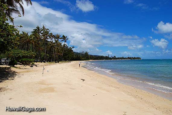 Punaluu Beach Park