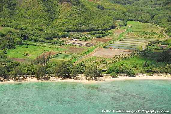 Punaluu Beach Park