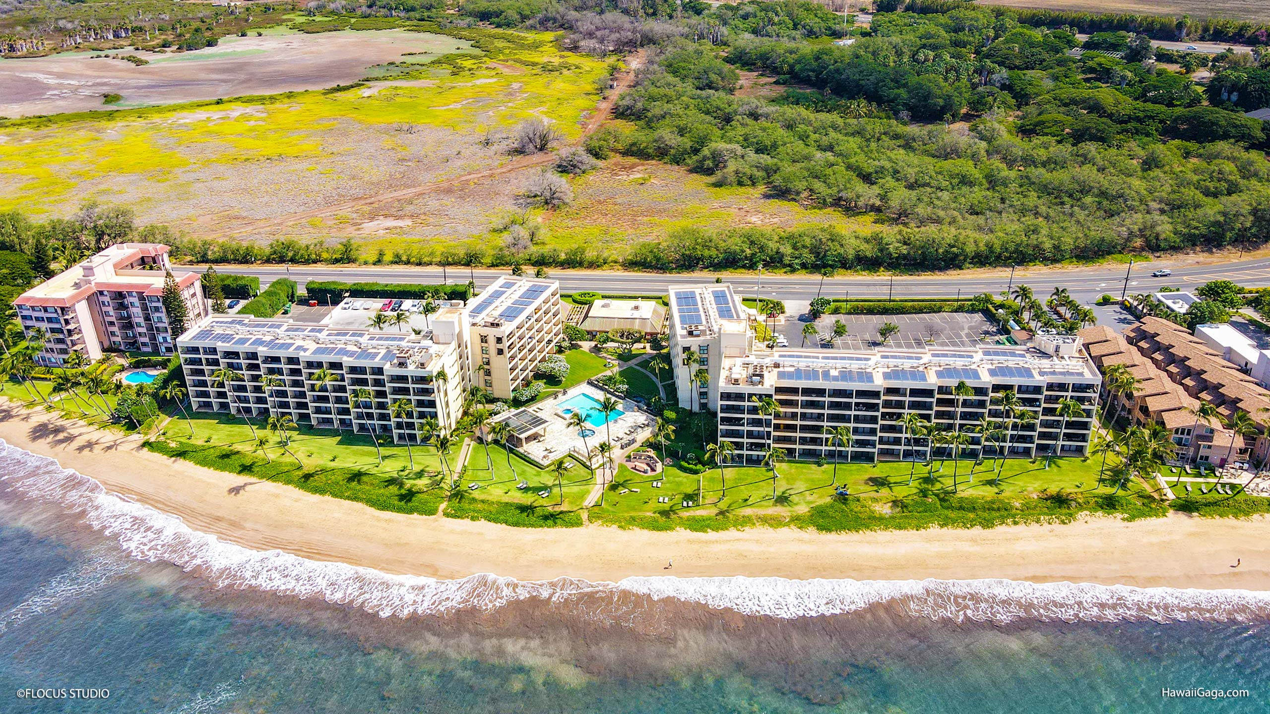 Sugar beach hawaii