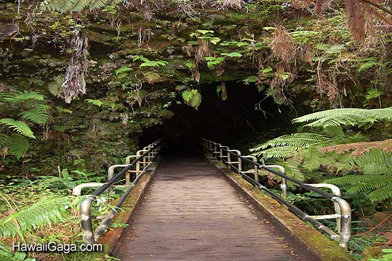 Thurston Lava Tube