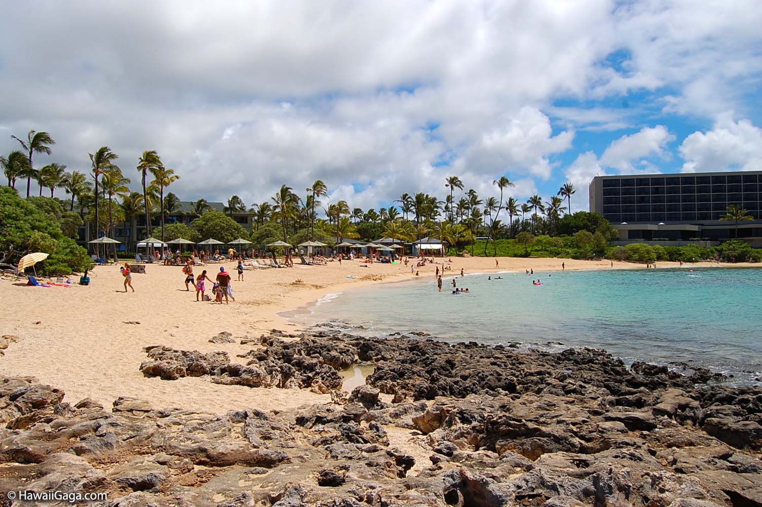 Turtle Bay Resort Beach