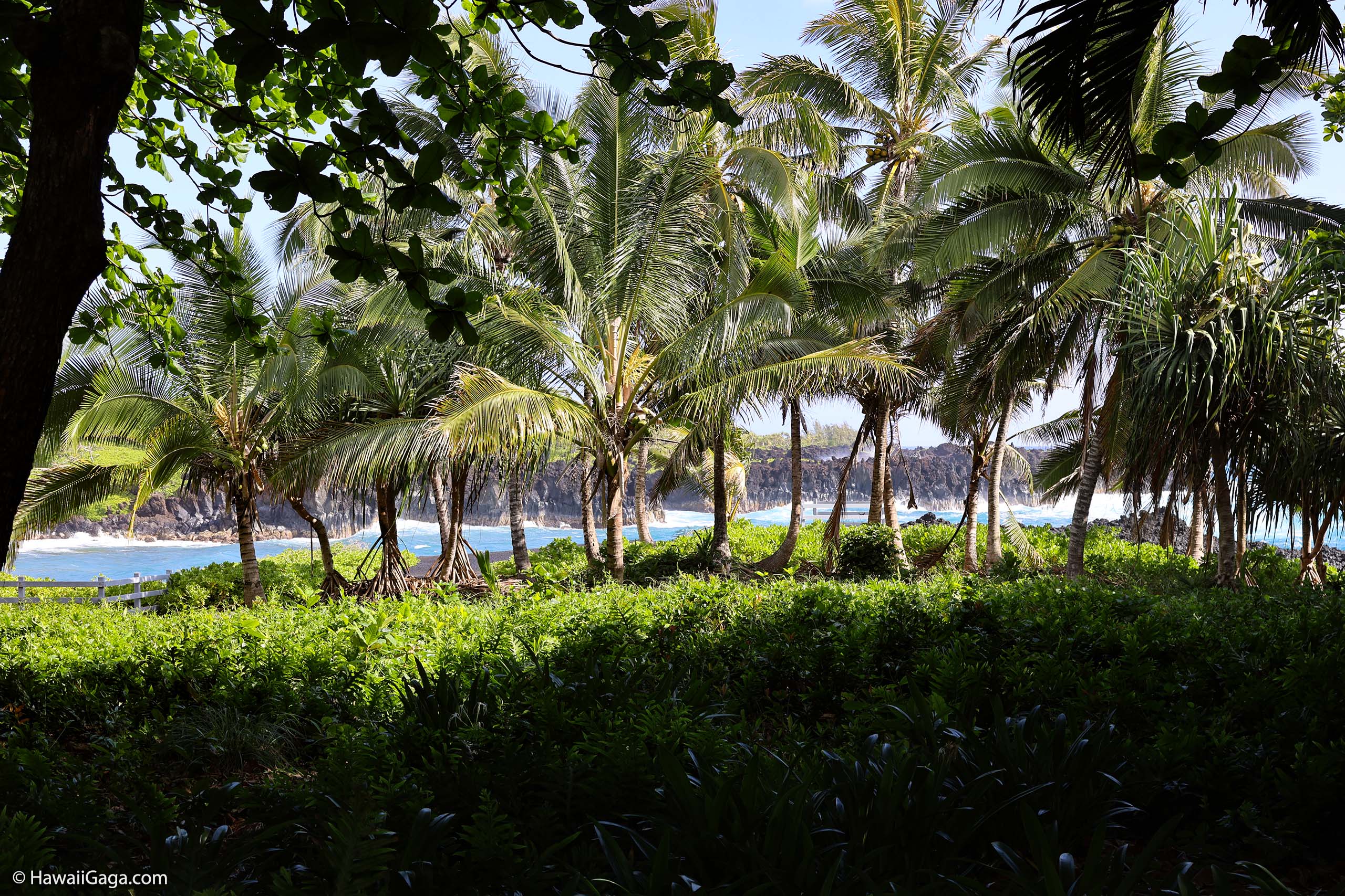 Waianapanapa State Park
