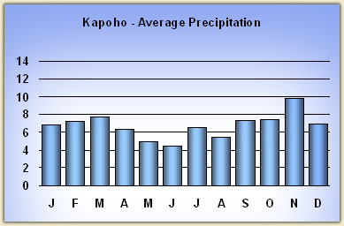 kapoho rainfall