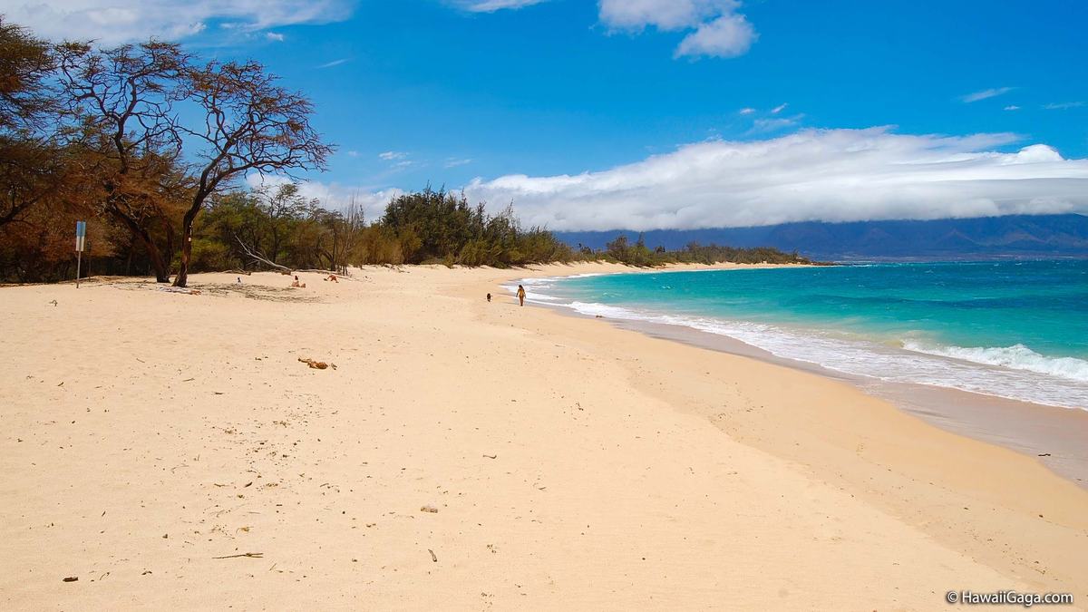 Baldwin Beach, Paia