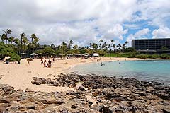 Turtle Bay Resort Beach thumbnail