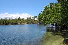 Makaiwa Bay Fish Pond thumbnail