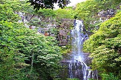 Wailua Falls Hana thumbnail