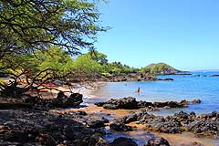 Makena Landing Beach Park thumbnail