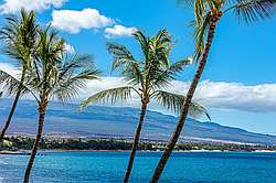 Sugar Beach Resort 420