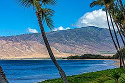 Sugar Beach Resort 420