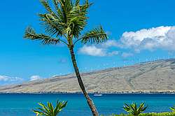 Sugar Beach Resort 117