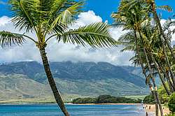 Sugar Beach Resort 117